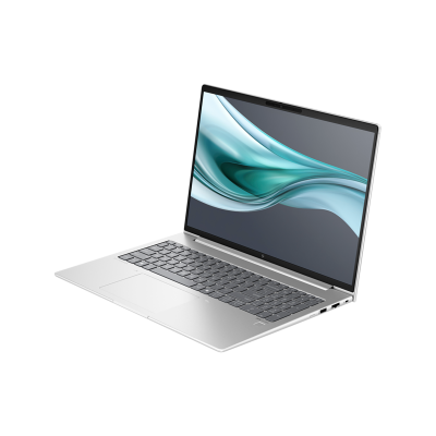 HP ProBook 460 G11 16
