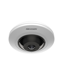 Hikvision 5MP Fixed Fish Eye Camera