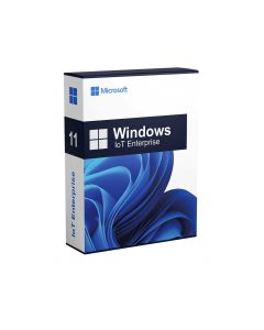 Pinnpos Windows 11 IOT Entry Enterprise 2024 LTSC One Key Per COA License