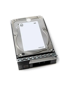 Dell 4TB 7.2K RPM 3.5" NLSAS 12Gbps Cabled HDD