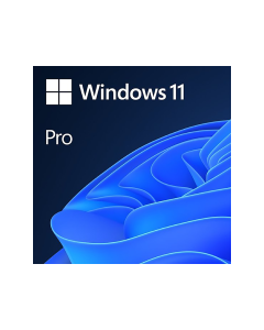 Microsoft Windows 11 Professional Single-User ESD License